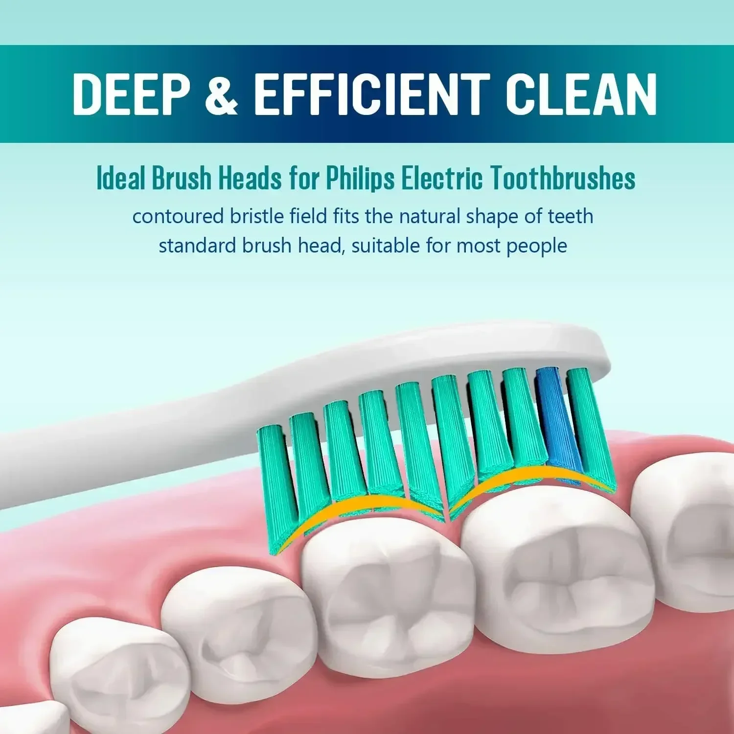 필립스 소닉케어 칫솔과 호환되는 교체 칫솔 헤드, 다이아몬드 클린 플렉스케어 건강 화이트, 4 개, 8 개, 12 개, 16 개