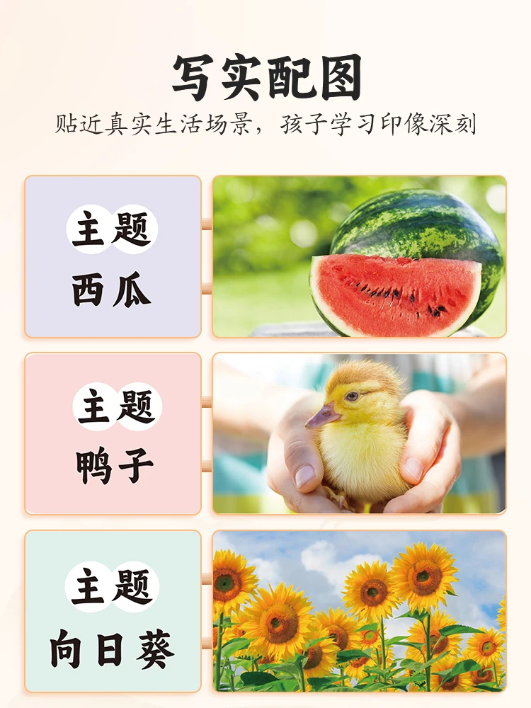 Formation Spéciale sur la Méthode Cinq Sens, Expansion de la Syntaxe et Écriture des Élèves du Primaire, Lecture des Compétences