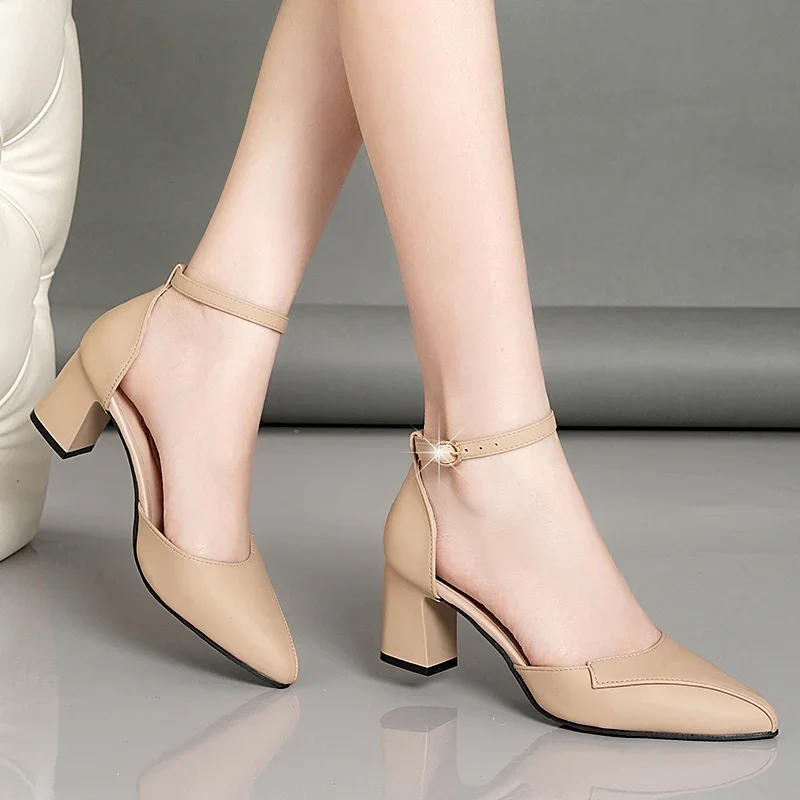 Elegant Women\'s High Heels New 2024 Spring Summer Versatile Ankle Strap Mules Pointed Toe Thick Heel Mary Jane Sandals