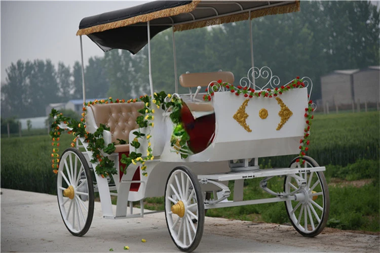 Horse Rickshaw Royal Type Electric Tricycle Mobile Outside Cart Prinss Cinderella Pumpkin Car Luxury Carriage Double Row Seat