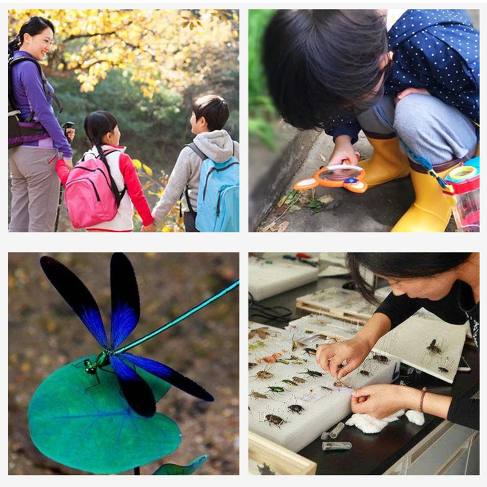 4.5 Times Insect Viewer Magnifier Box With Double Lens Microscope Observer Kit Kids Educational Toys