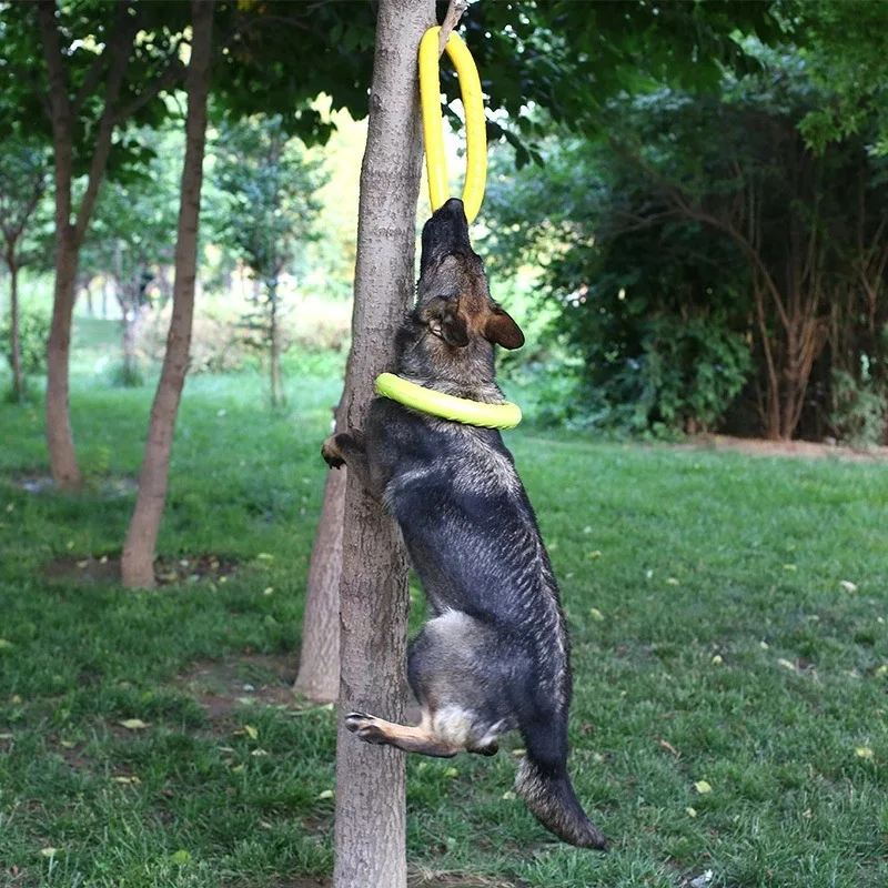 Hundes pielzeug Training Ring Puller Welpe fliegende Scheibe Kau spielzeug im Freien interaktives Spielzeug Hundes piel Spiel zubehör zabawki dla psa