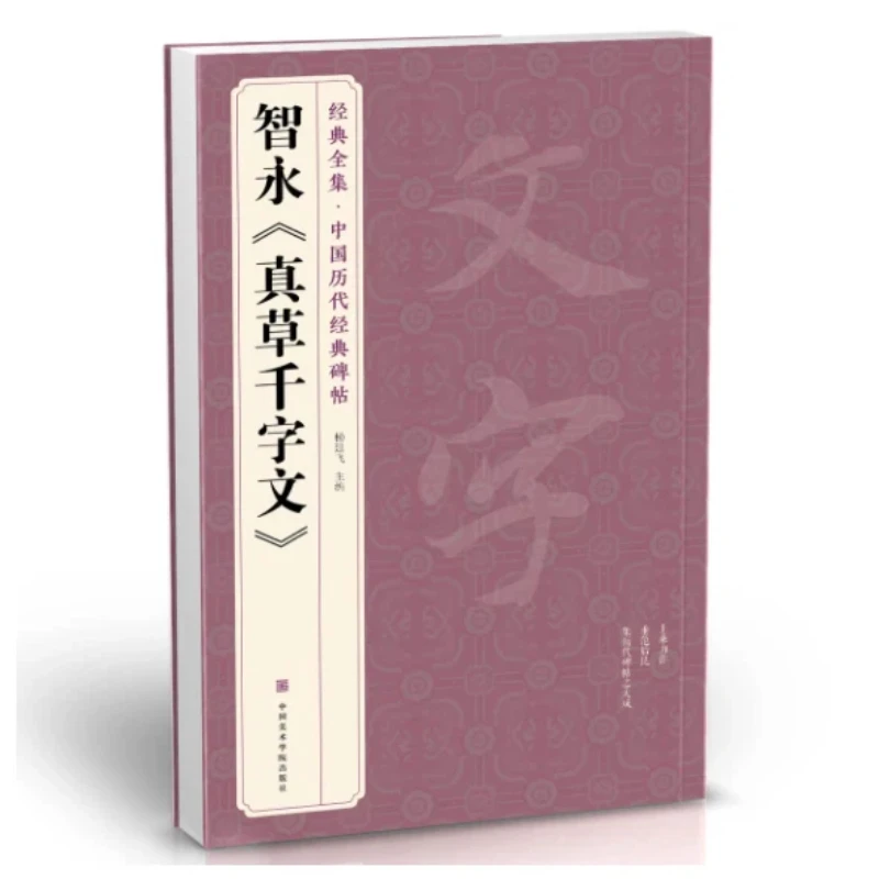 Zhi Yong Thousand Character Classic Cursive Script Calligraphy Copybook Chinese Inscription Set Enlarge Chinese Character Books