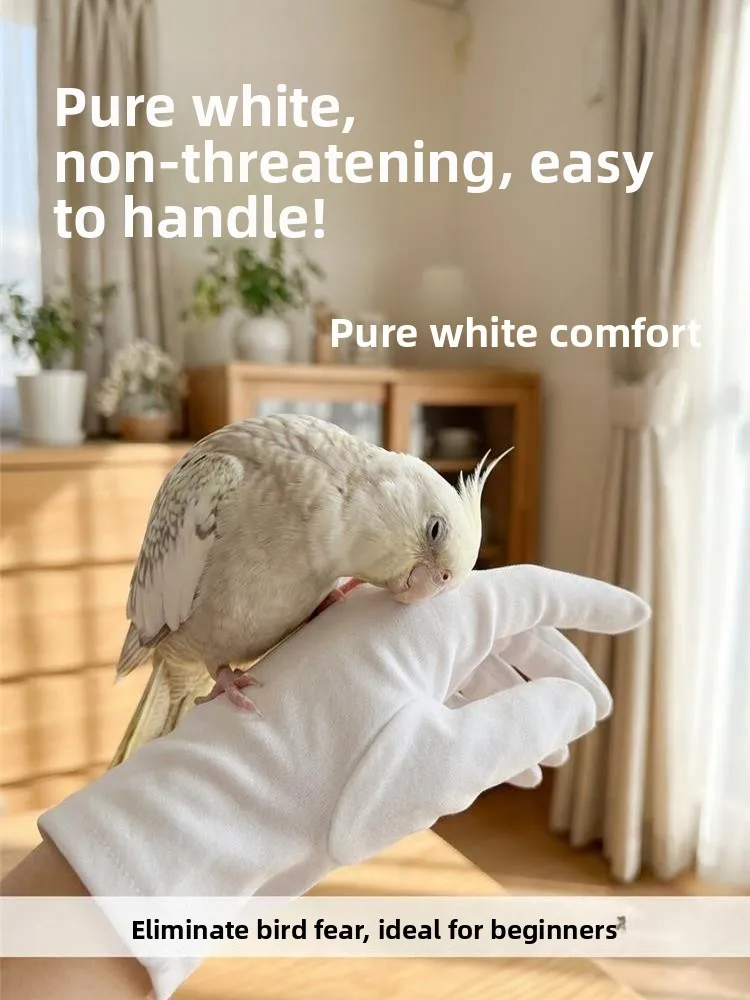 プロ仕様の通気性のある鳥取り扱い用手袋、耐久性があり、耐摩耗性、耐噛み性、ペットショップの専門家、オウムの訓練用手袋