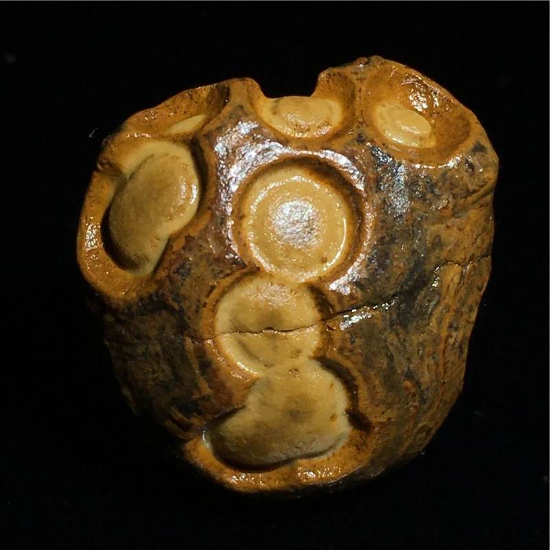 Boutique push coin ishihara stone natural Alxa nine-eye shale charms eye stones Gobi agate Mongolian dzi beads raw materials