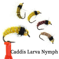 6/8PCS Bead Head Caddis Larva Nymph Fly Realistic Scud Bug Worm for Trout Grayling Fishing Lures (Barbed Hook, Fast Sinking)