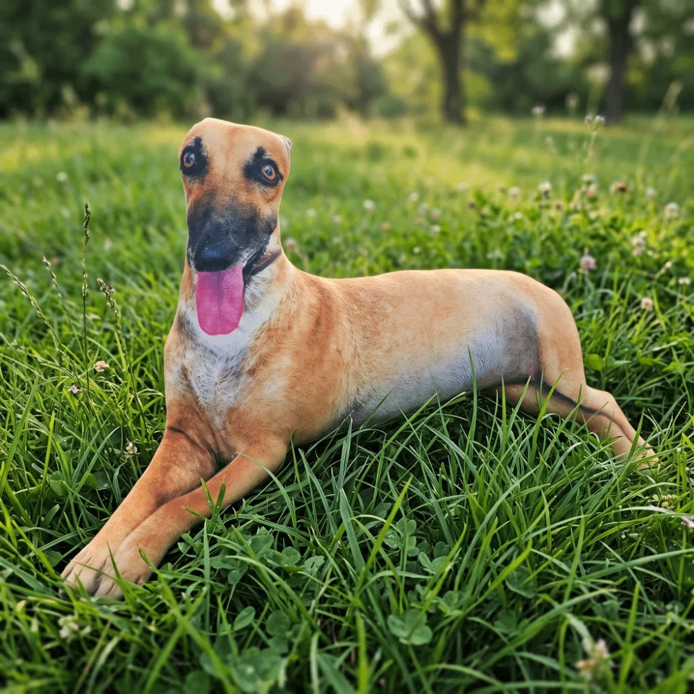 almofada-de-cao-lhrehound-realista-impressa-em-3d-cachorrinho-de-pelucia-kawaii-cao-lhrehound-marrom-bichinho-de-pelucia-para-amigos