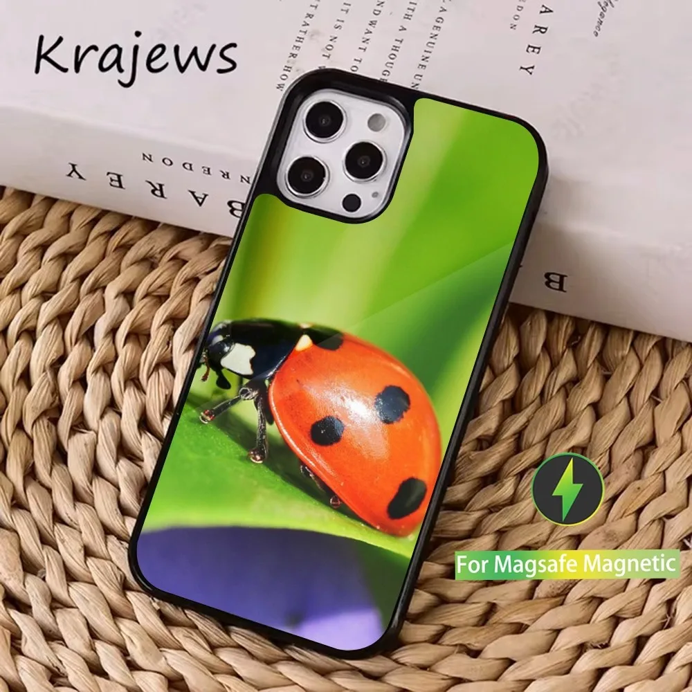 Insect Ladybug Phone Case  For iPhone 16,15,14,13,12,11,Pro,Max,Plus,Mini, Magsafe,Magnetic Wireless Charging Case