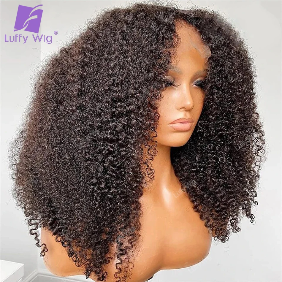 

200Density Glueless 13x6 Lace Frontal Wig 4B 4C Afro Kinky Curly Human Hair Pre Plucked With Baby Hair Wigs for Black Women