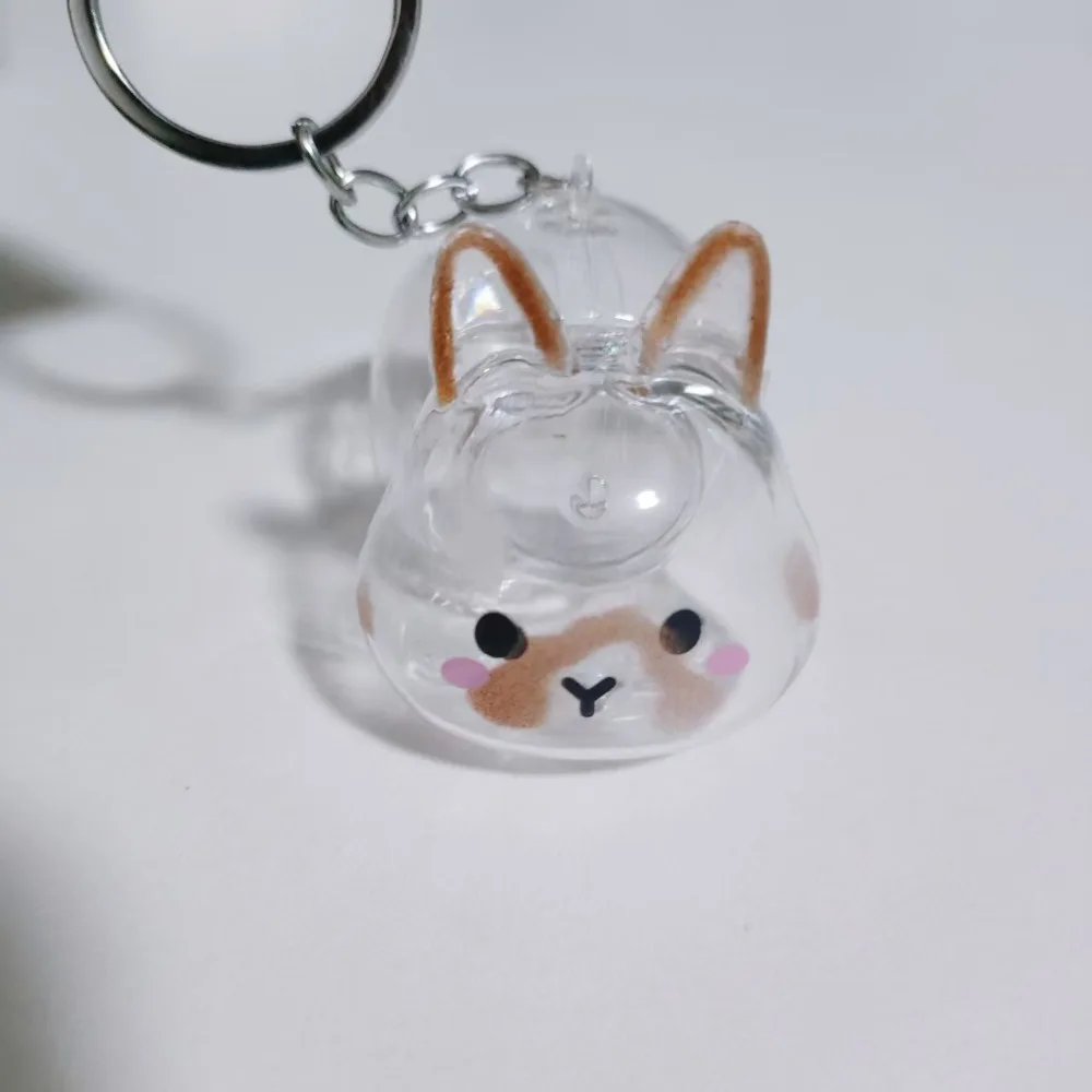 Transparent Pet Hair Storage Keychain Hair Container Keyrings Memorial Rabbit Hair Collector Animal Bag Charm