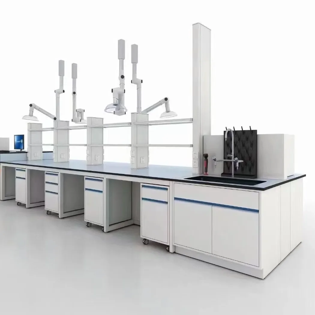 Customizable Lab Table Lab Side Bench Made Of Steel Frame, Reinforced Wall Desk Structures, Multi-functional Lab Work Tables