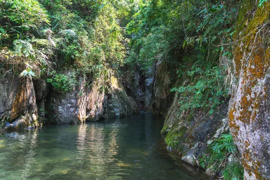 Opony i felgi do modeli samochodów 1/10, 1/12, 1/14, na drogę, z plastikowymi felgami z mocowaniem 12mm Hex, kompatybilne z Tamiya TT01, TT02, Kyosho, Sakura D3, Trxs 4Tec 2.0