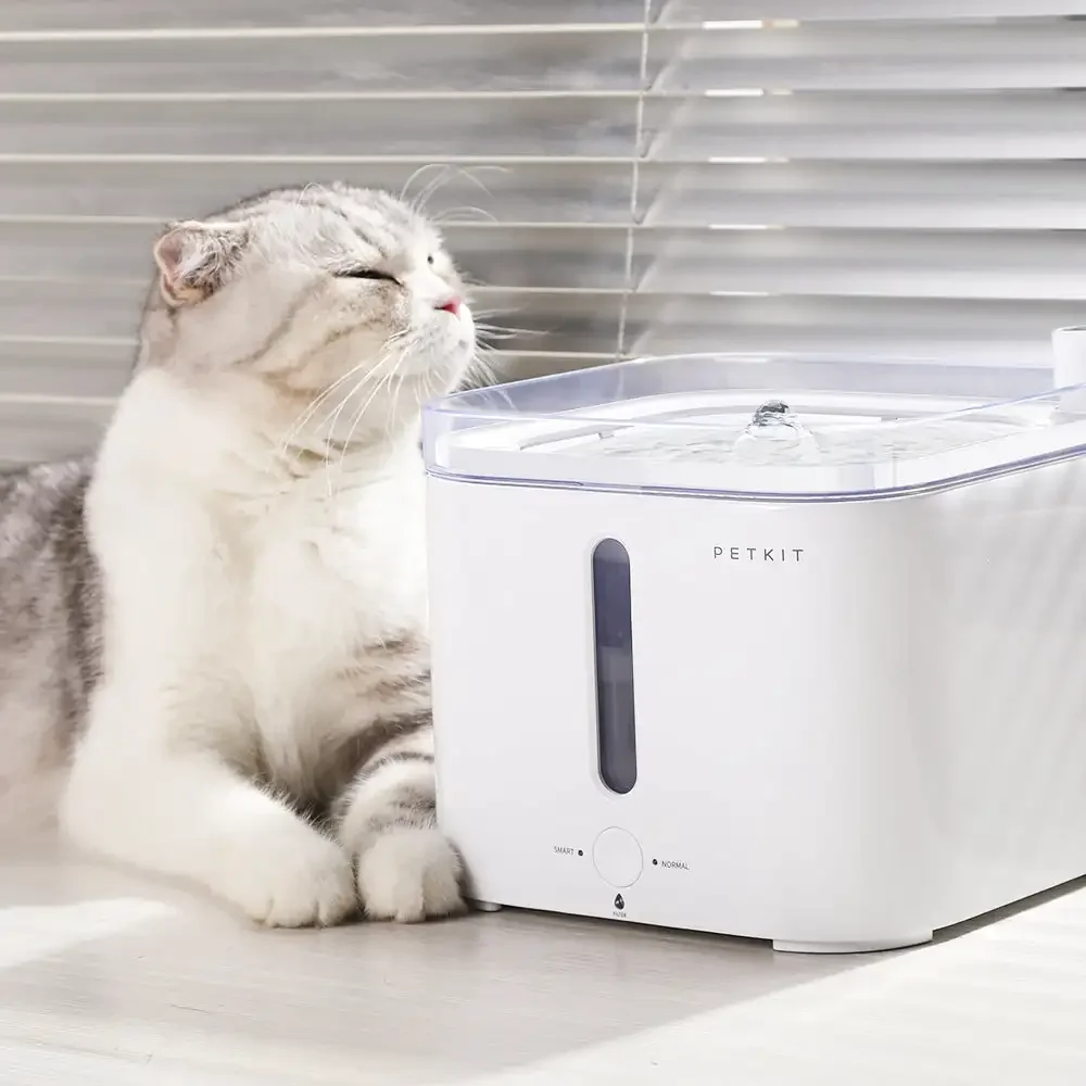 Fontana intelligente per animali domestici serie CANBOUN EVERSWEET con pompa ultra silenziosa wireless e alimentatore automatico per animali domestici con controllo tramite app