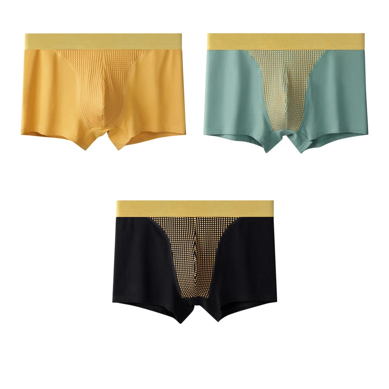 Sous-vêtements de thérapie magnétique pour hommes, lingerie en poudre bombée, caleçons améliorant la nature, boxeurs antibactériens, coton
