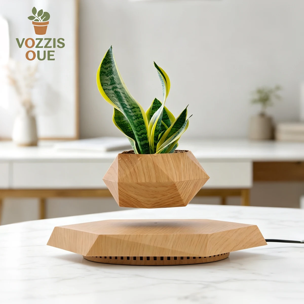 Amazing Levitating Air Bonsai Pot Rotation Flower Pot Planters Magnetic Suspension Floating Pot Potted Plant Home Desk Decor