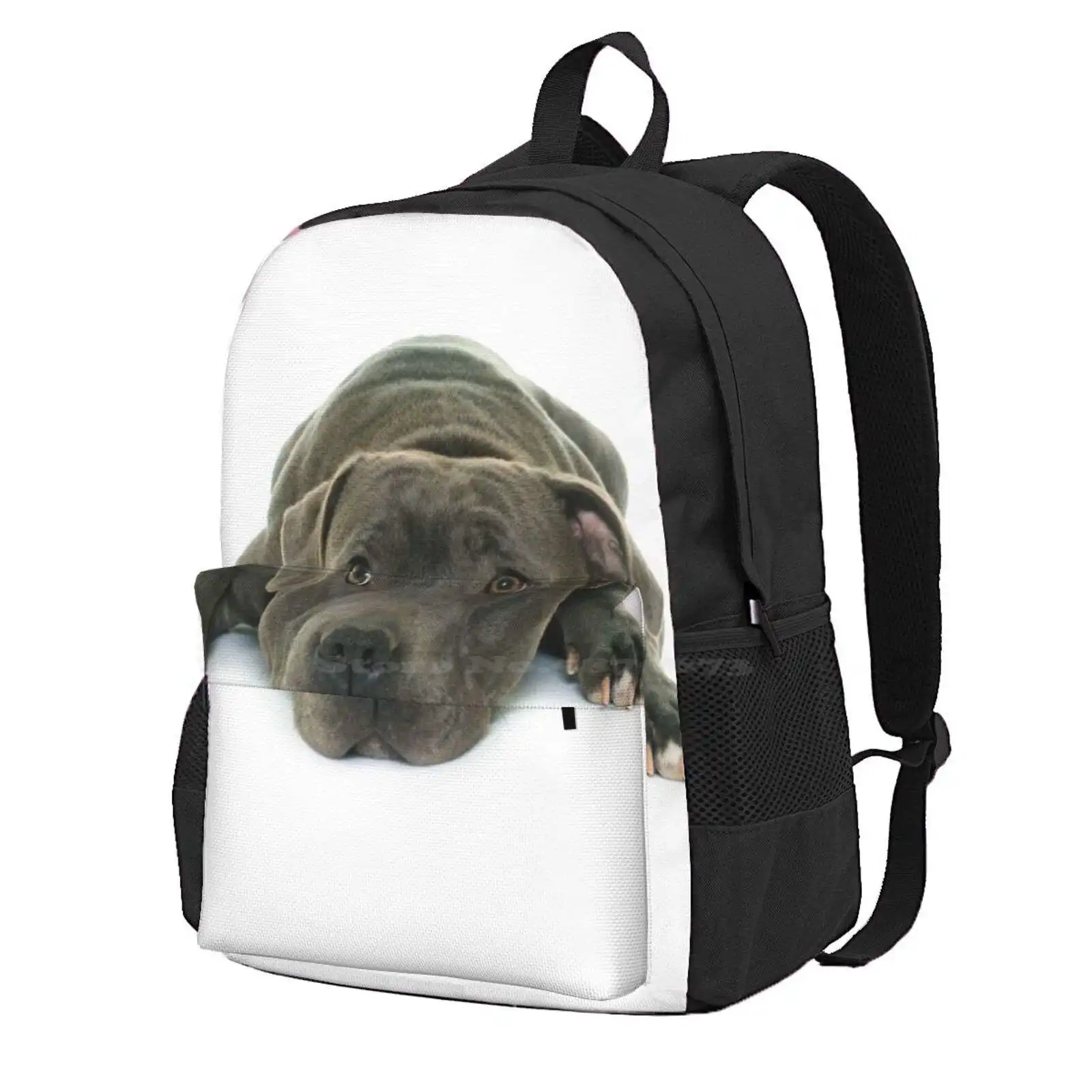 Blue Staffordshire Bull Terrier Super Cute Puppy Eyes Hot Sale Schoolbag Backpack Fashion Bags Love Dogs Just A Girl Who Loves