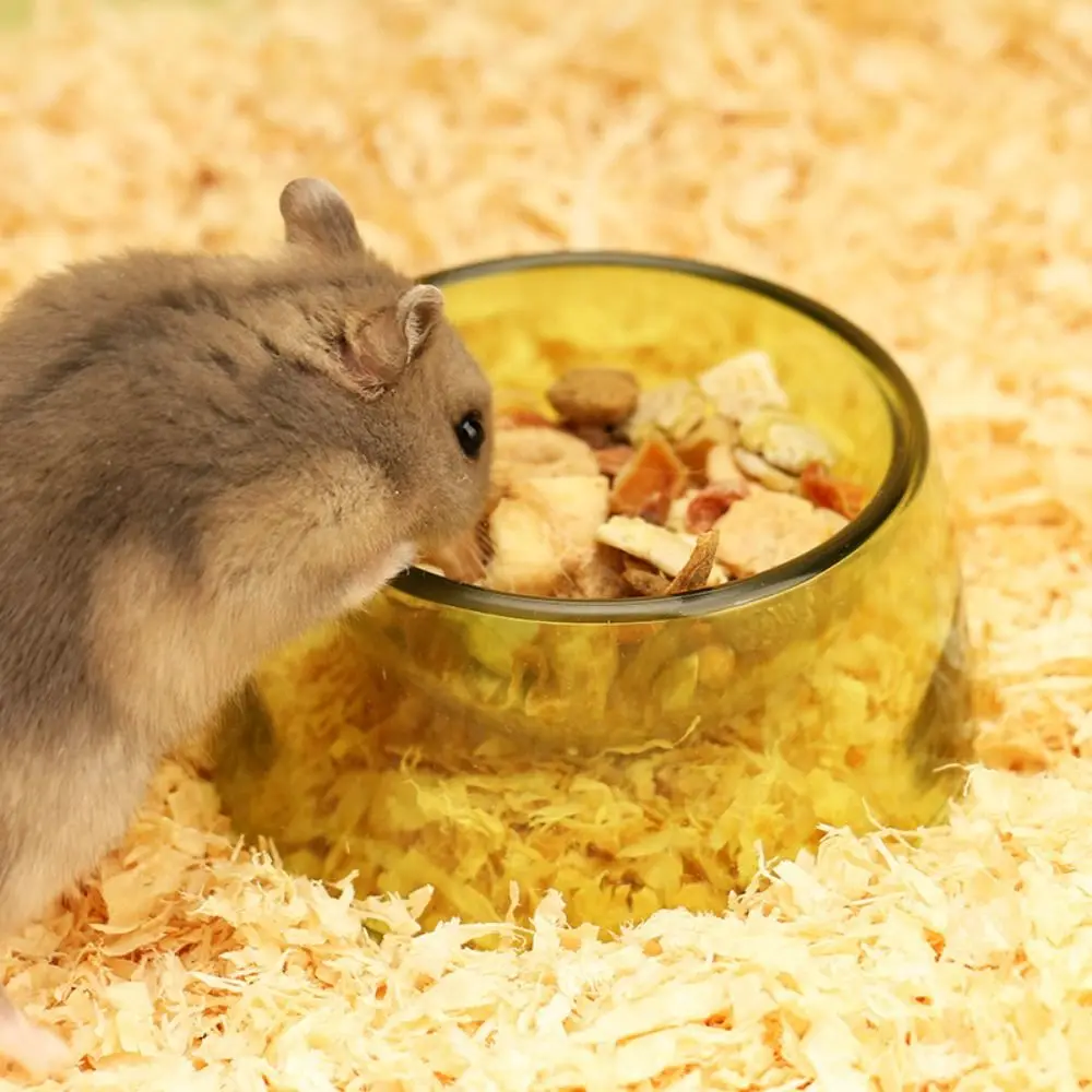 Картина 5: Прозрачная пластиковая миска для корма и воды для хомяков и крыс, устойчивая к укусам, нескользящая, для домашнего использования