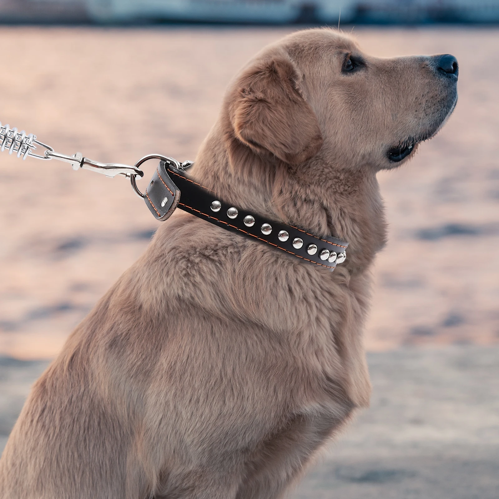 

Dog Collar Leash Set Durable Pet Walking Rope Medium Large Size Stainless Steel Material Premium Quality Long Service Life