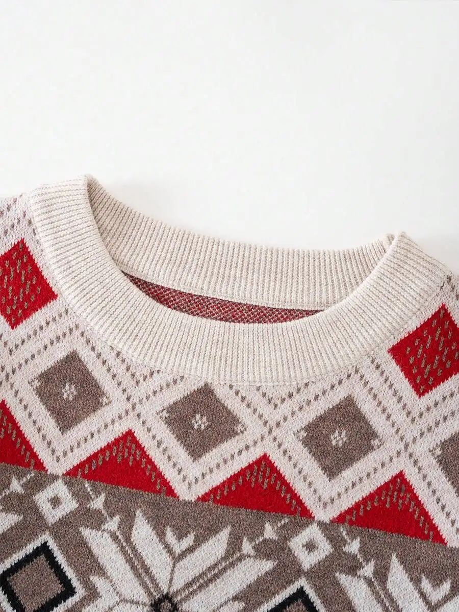 

Geometric Pattern Crew Neck Long Sleeve Knit Sweater For Women Casual Everyday Wear