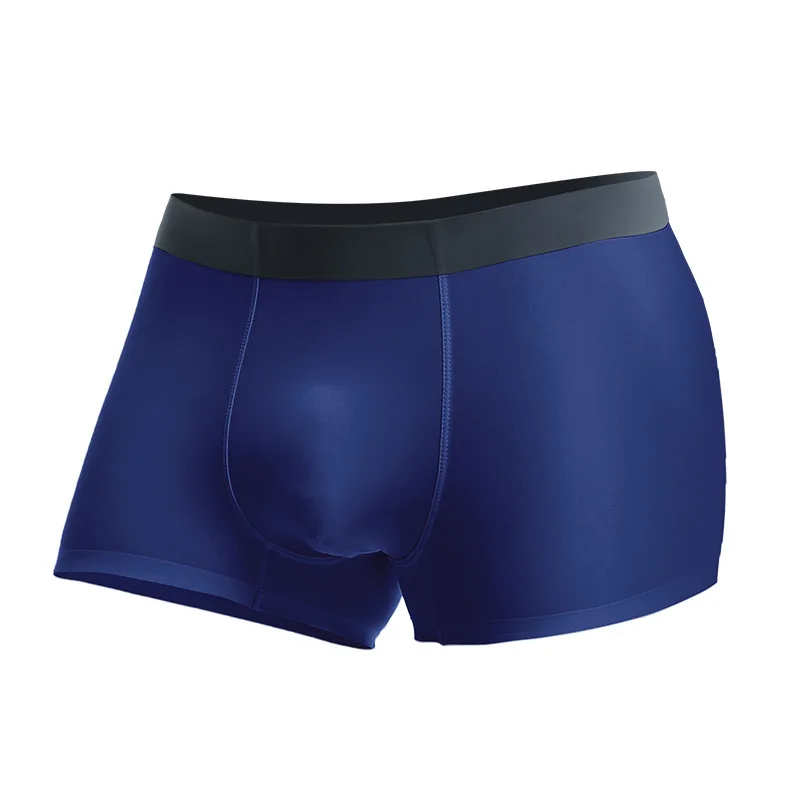 Men\'s Boxers Shorts Transparent Ice Silk Underwear Man U Convex Pouch Underpants Male Solid Seamless Panties Cueca Calzoncillo