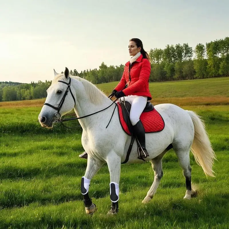 1 paire de bottes de jambe de mouche de cheval, Leggings respirants pour soins de cheval, prévention des mouches, botte pour l'entraînement au saut