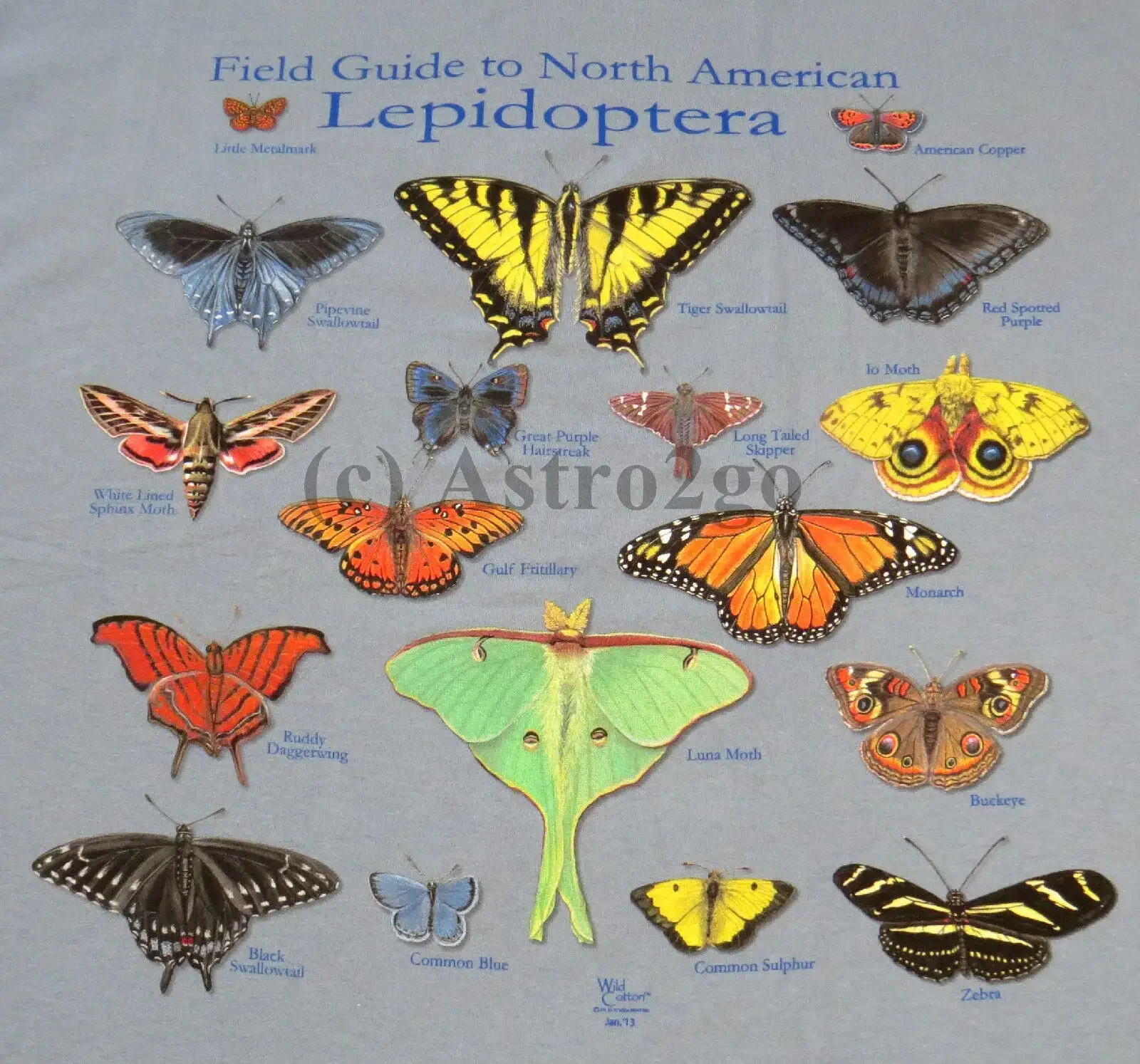 NORTH AMERICAN LEPIDOPTERA-Butterflies Moths Insects Nature Science T shirt S-2X