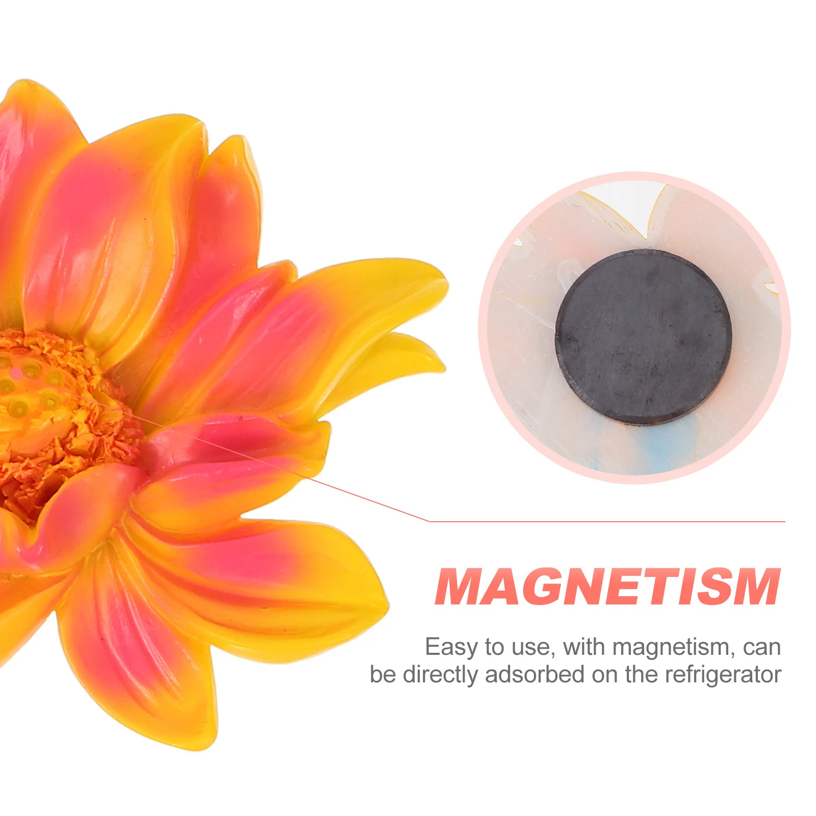 

2Pcs Succulent Flower Fridge Magnet High Quality Resin 3D Refrigerator Decoration Magnetic Household Ornament