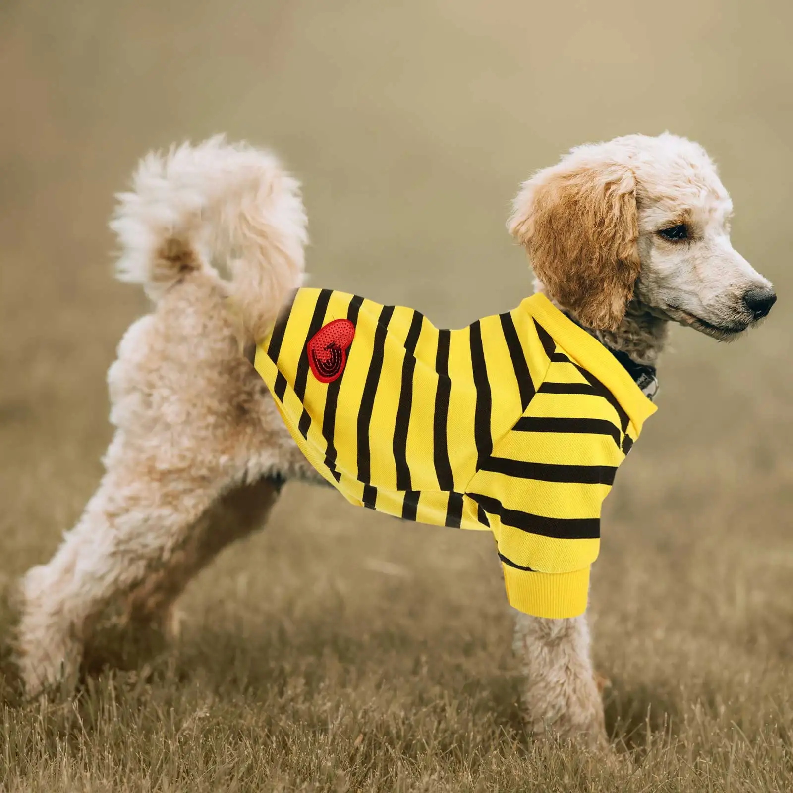 

Dog T shirt Summer Puppy Shirt Comfortable Dog Clothes Adorable Pet Clothing Breathable Outdoor Sweatshirt Decorative Pet Supply