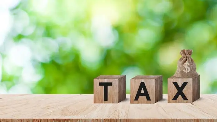 Tax Payment For Back Taxes