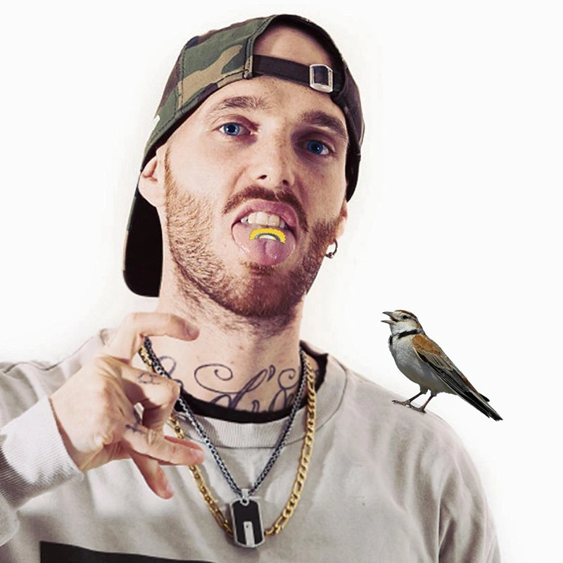 5-teilige Vogelpfeife, magische Vogelrufer-Zungenpfeife, wie abgebildet, haben einen Kreativitätsspaß für die Herstellung hoher Oktav-Stimme