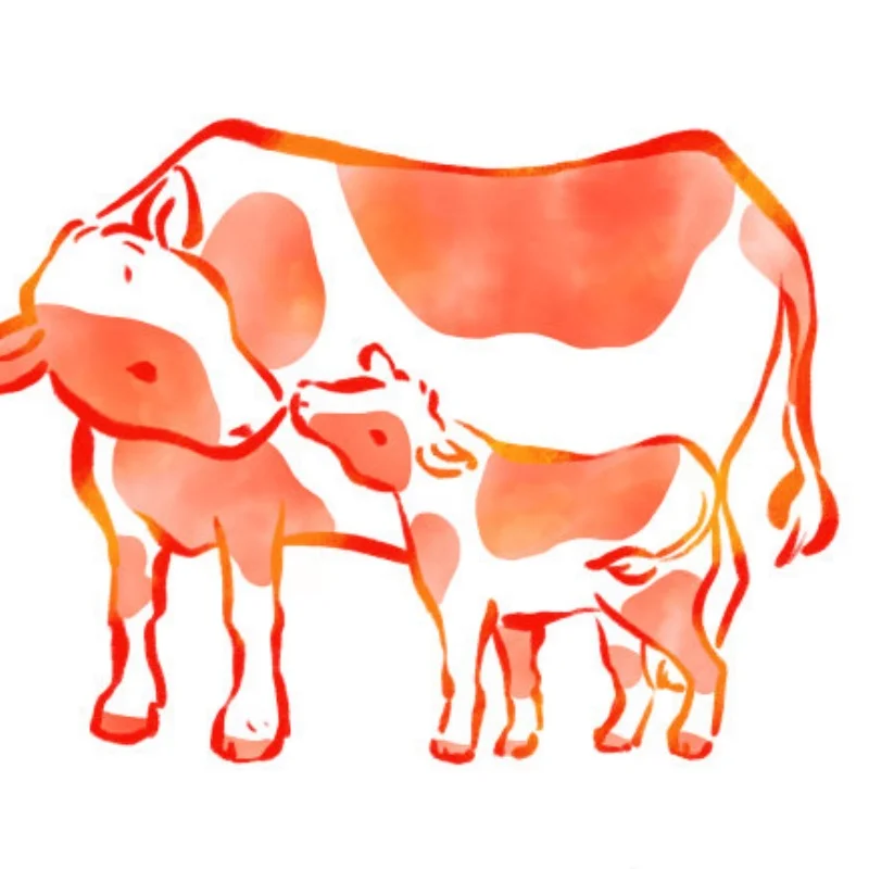 

2Pcs 12-13mm Double Guide Roller 95423 Lightweight Aluminum Spare Parts For Tamiya Mini 4WD Car Model