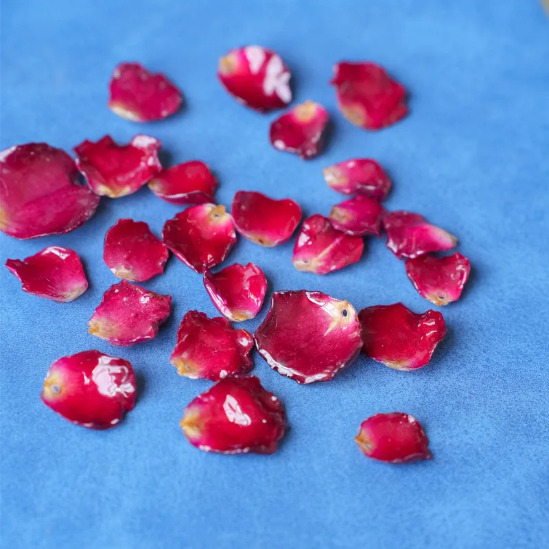 Original Handmade Super Fairy Forest Series Real Dried Flower Semi-finished Earring Accessories Rose Rose Diy Drip Glue