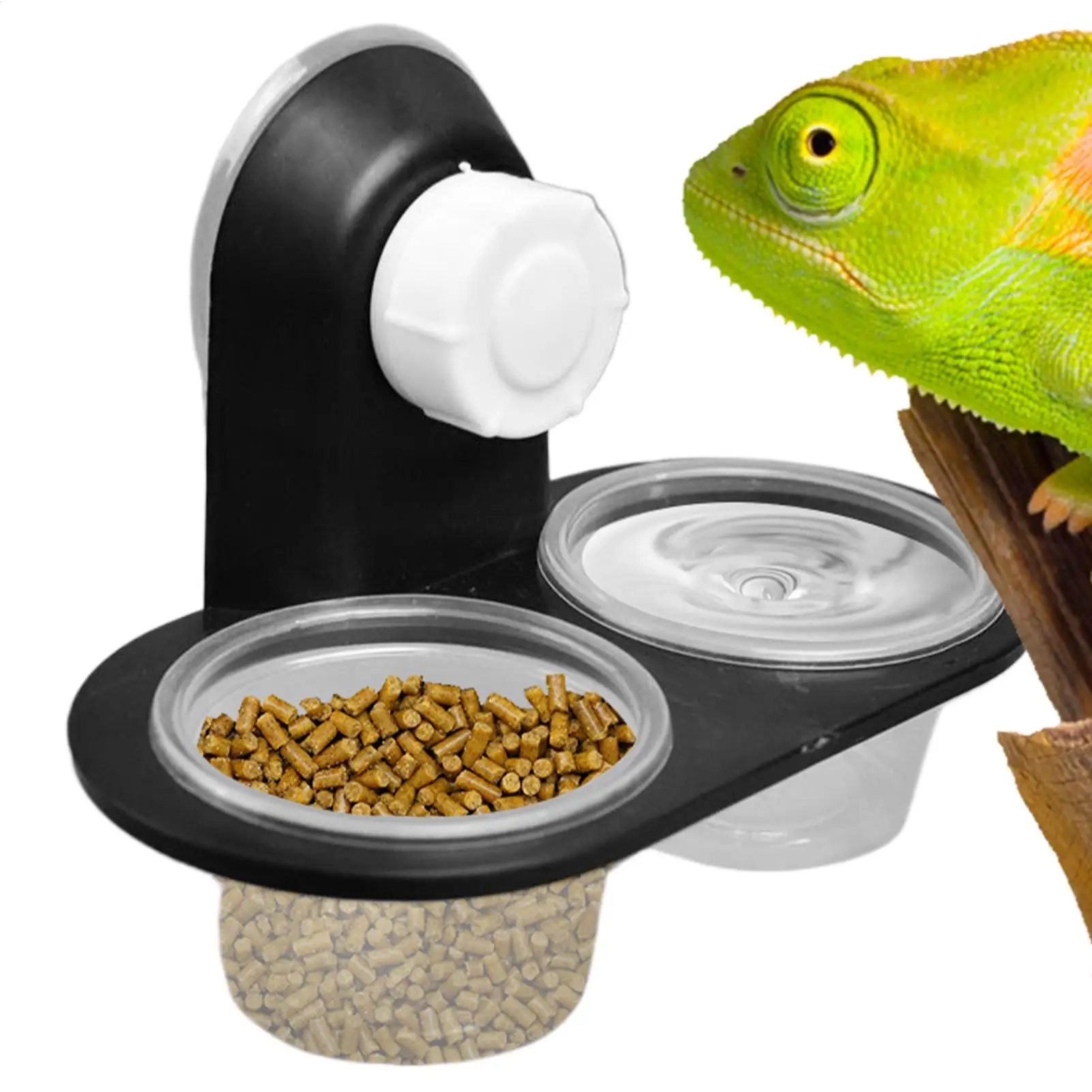 Gecko Food Dish Reptile With 4 Cups Ledge Accessories Tray Food Bowl Water Dispenser For Tarantula Frog Lizard Chameleons Hermit