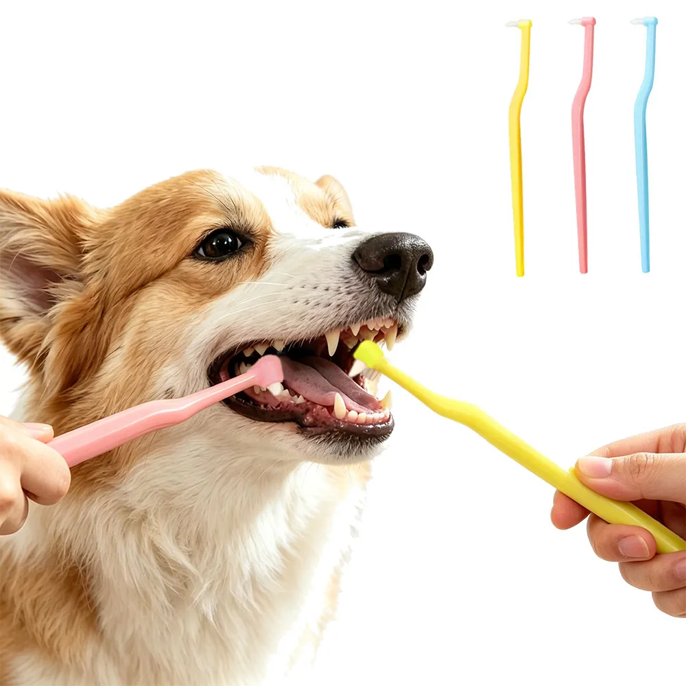 Random 2Pcs Mini Pointed Tip Pet Toothbrush Soft Bristle Dog Cat Rabbit Hamster Teeth Cleaning Oral Care Tool