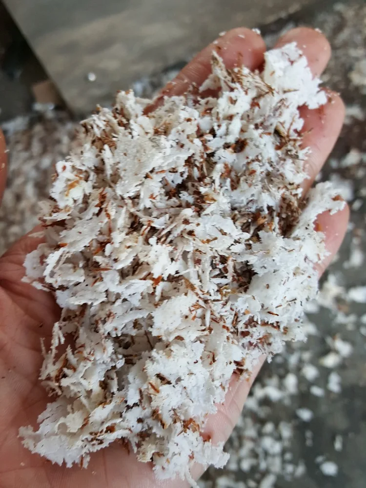 Eliminador automático de cáscara de coco/máquina de eliminación de coco/máquina descascaradora de coco