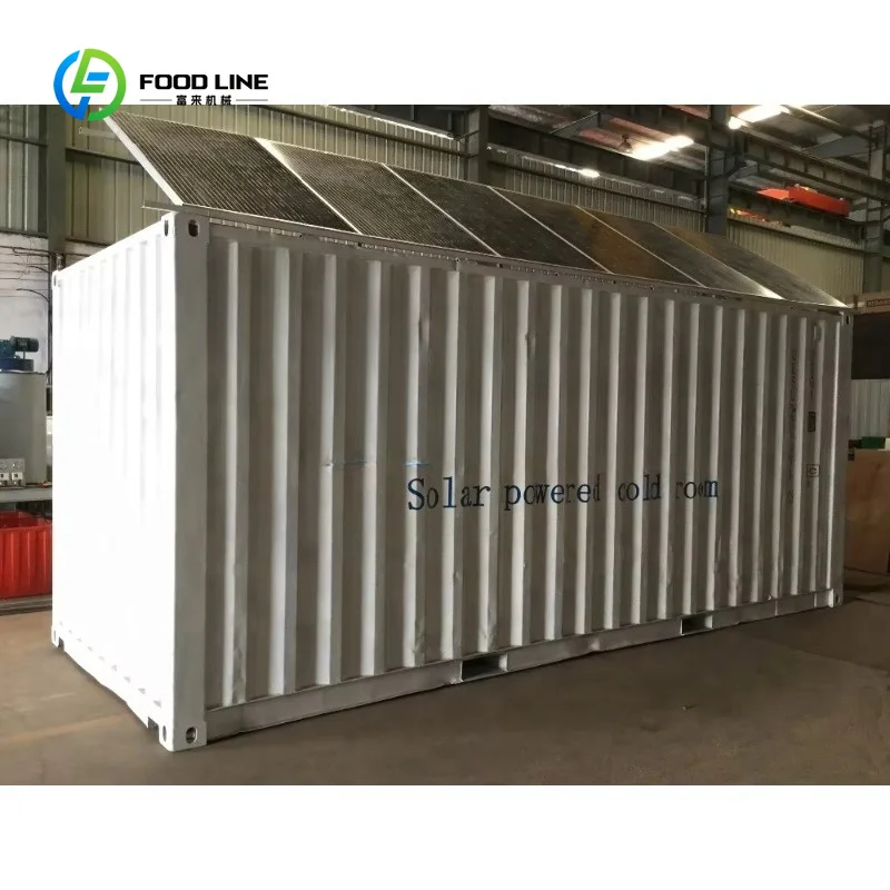 Customized Solar Cold Room Container Cold Storage Equipment Unit for Fish Meat