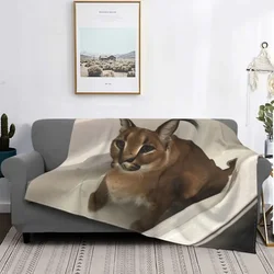 Big Floppa Caracal Cat Cute Meme Blanket Soft Coral Fleece Warm Flannel Bathtub Throw Blankets for Sofa Car Bedroom Bedspread