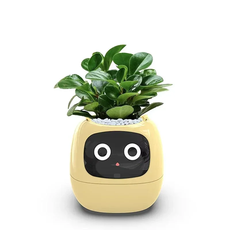 

Best-selling smart lazy automatic water absorption smart cute pet flower pot USB charging indoor potted plant