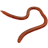 20pcs Artificial Lure Earthworm Fishing Lure 8cm 10cm Simulation Earthworm Soft Bait Fish Lure Tackle Lifelike Fishy Smell Lure