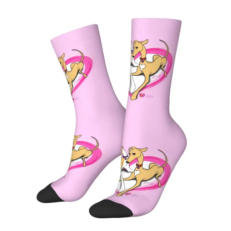 Cute Print Heart Hounds Sighthound Socks for Men Women Stretchy Summer Autumn Winter Greyhound Whippet Dog Crew Socks