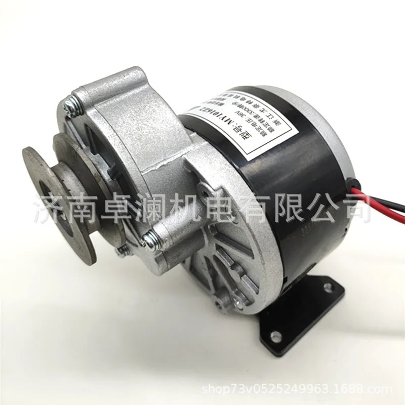 

250W24V36V12 Permanent Magnet DC Reduction Pulley Brushed Motor MY1016Z2 Equipment Modification