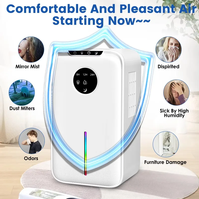 High Effect Whole House Dehumidification Peltier Air Purifier Dehumidifier for Home 1000ml/D