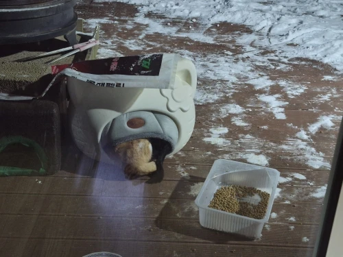 구매후기