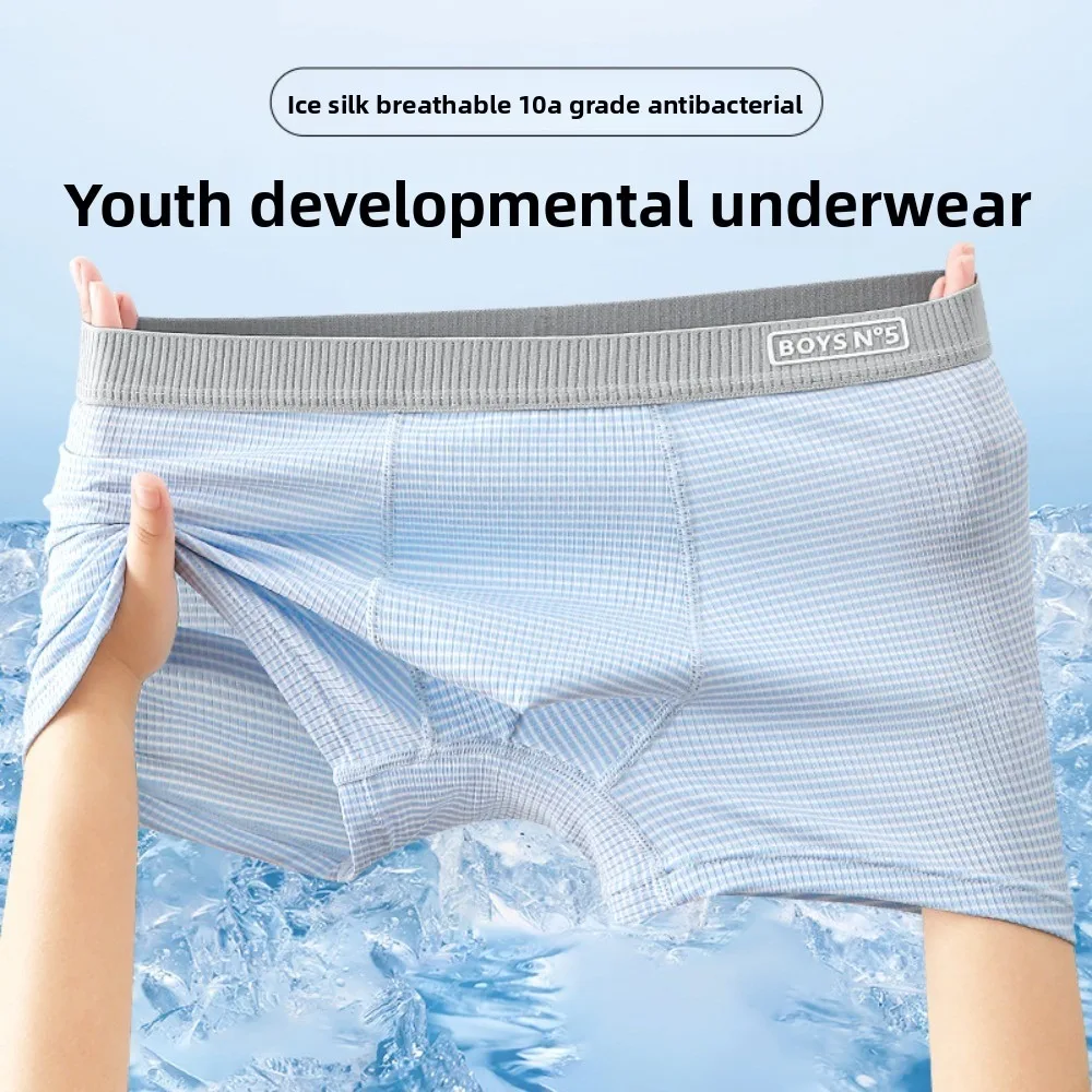 

4Pcs Comfortable Thin Ice Silk Boxer Briefs Seamless Underpants Ice Silk Boxers Mid Waist 4PCS Underwear for Men Summer Spring