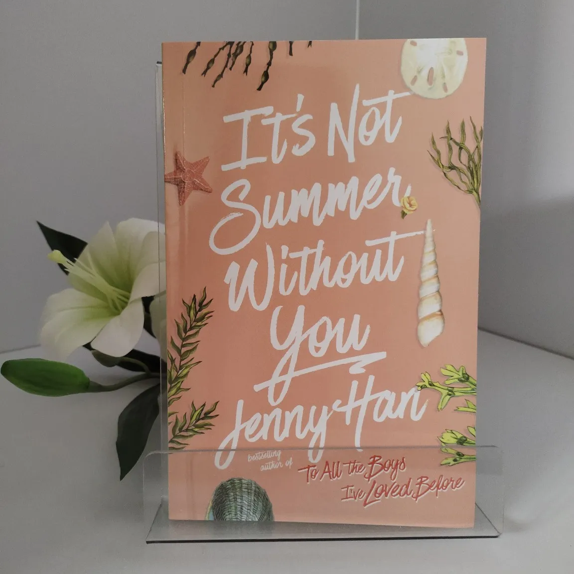 

The Summer I Turned Pretty Book 2: It's Not Summer Without You (TV Series Tie-in Edition)