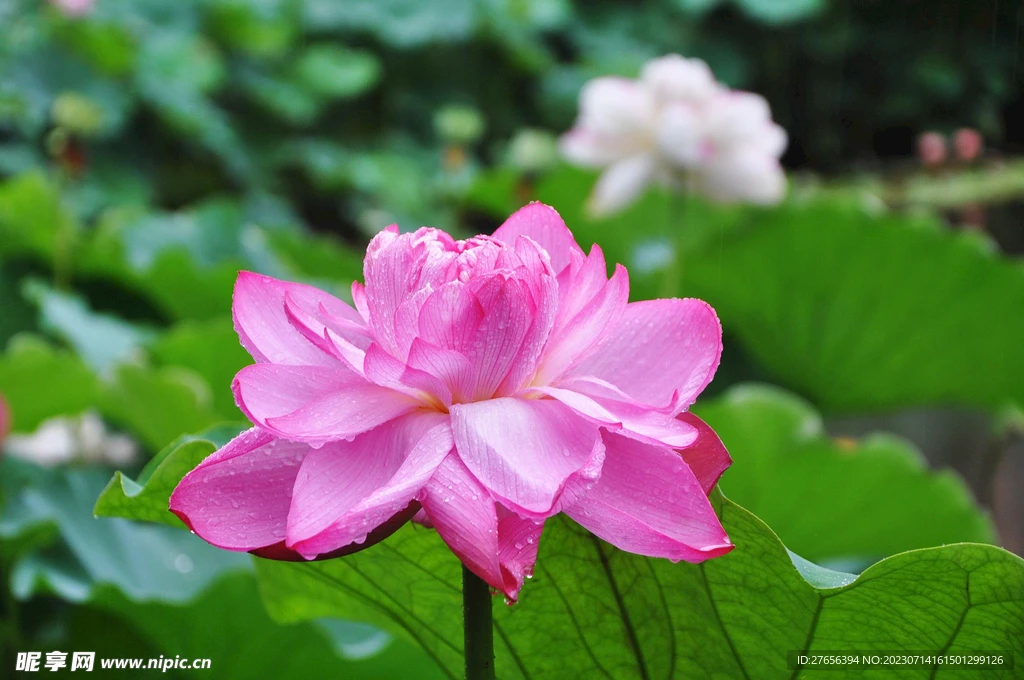 

Для радиоуправляемых машинок WPL B1 B-1 B14 B-14 B24 B-24 C14 1/16: Металлический улучшенный тяговый стержень рулевого сервопривода (основание)