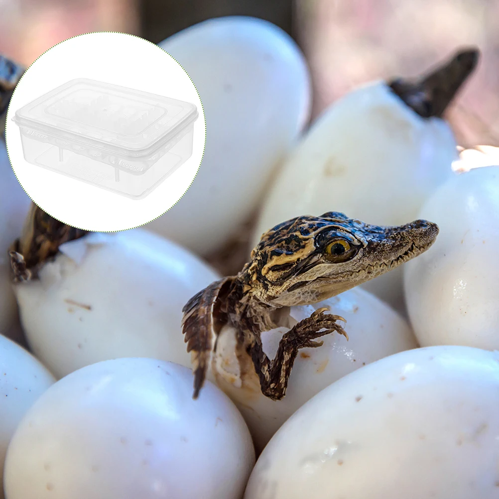 

Egg Incubator Reptile Lizard Incubators for Thermometer Kit White Hatching Bin Eggs