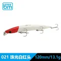 120SF 13.1g 021