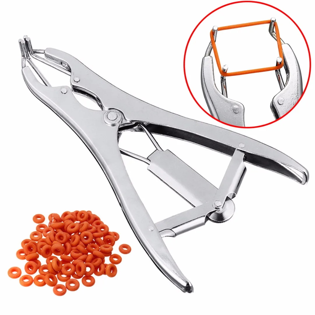 Sissy Elastrator: The Real-World Tool That Made My Sheep and Pig Castrations Safer, Faster, and Less Stressful
