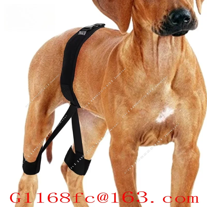 Patellar Ligament Sprain Reliever, Dog Knee Protector, Flexible Hinge Support Belt